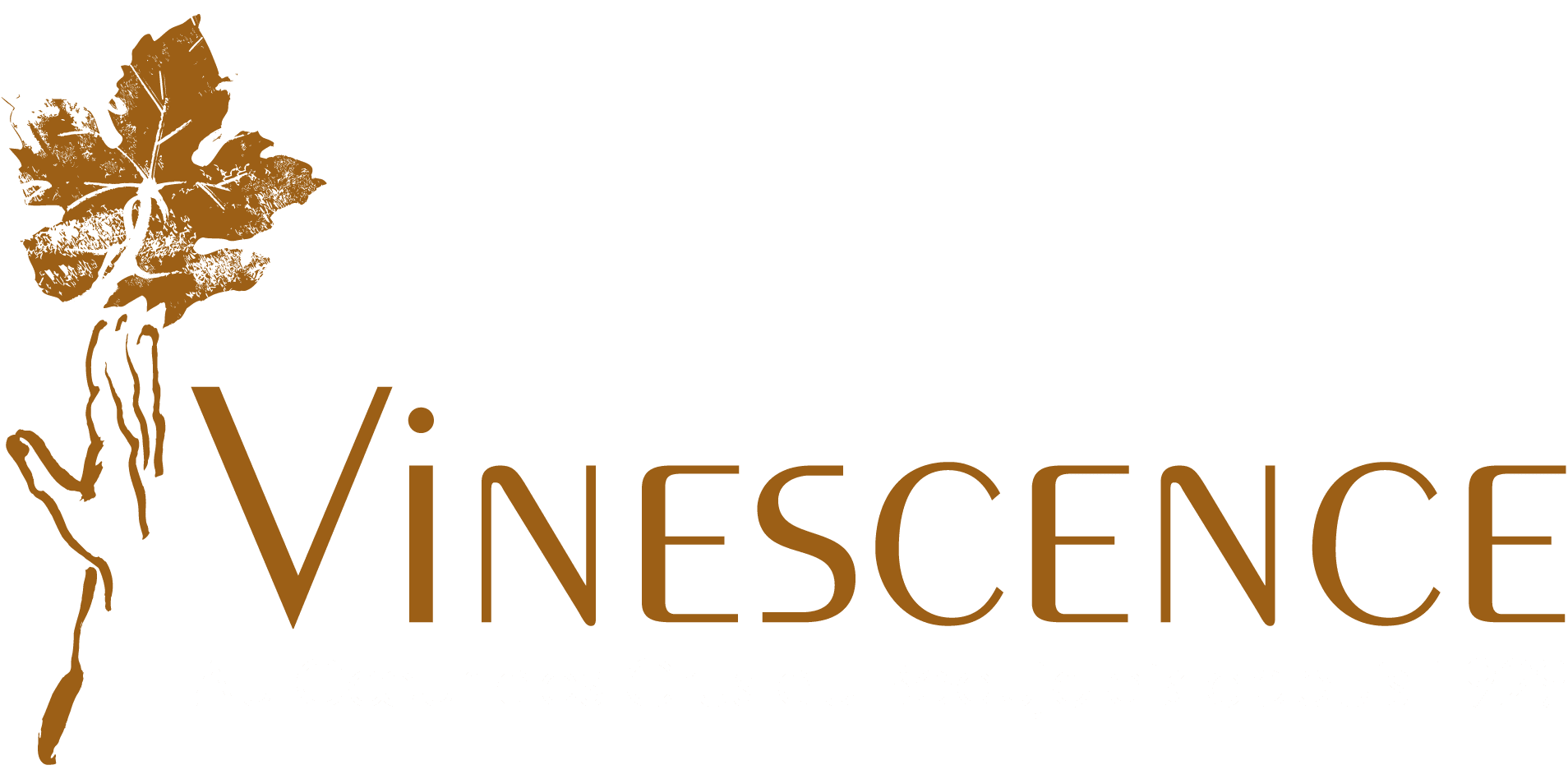 Nos Boutiques Vinescence Cave Dexcellence