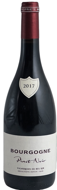 Bourgogne Pinot Noir – Vinescence